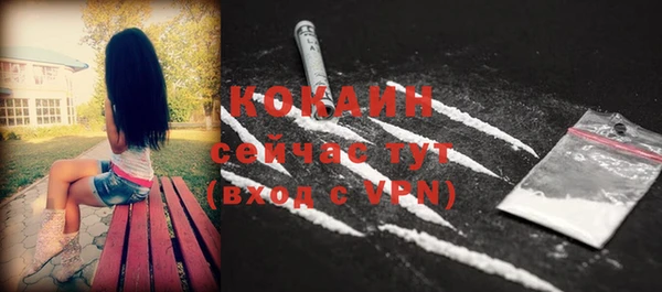тгк Лиски