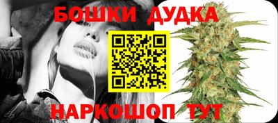 mdma Гатчина