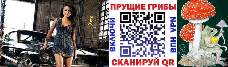 МЕГА как зайти  Кимры  Галлюциногенные грибы прущие грибы 