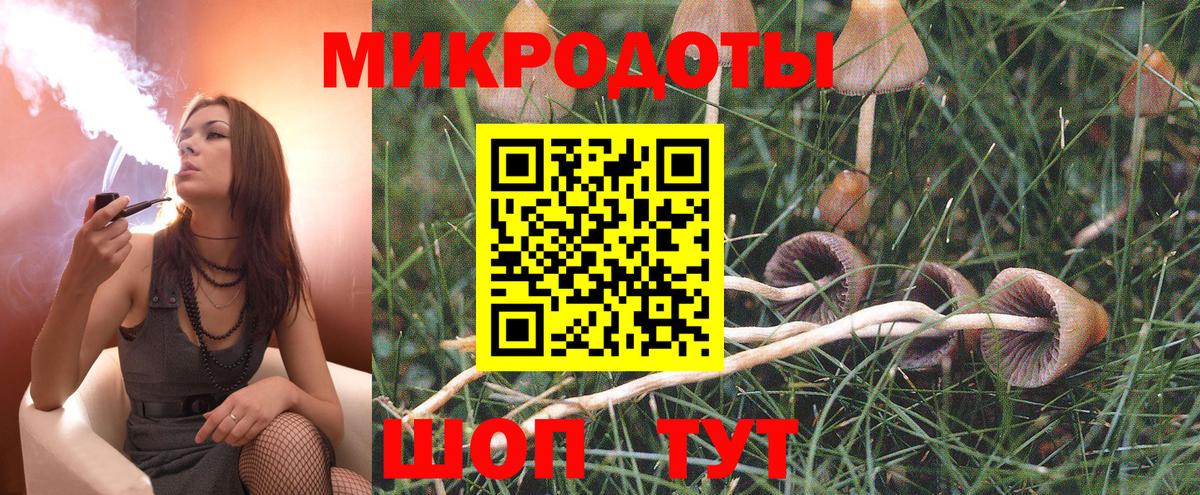 Псилоцибиновые грибы Cubensis Кимры