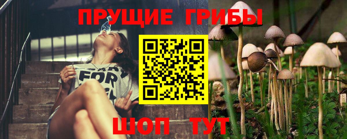 Псилоцибиновые грибы прущие грибы  Вход с VPN  Кимры 