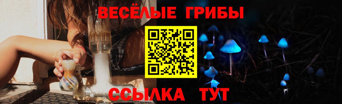 APVP Кимры