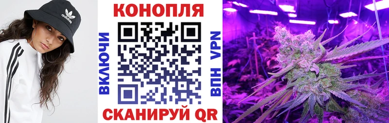 МАРИХУАНА планчик блэк спрут Кимры где найти